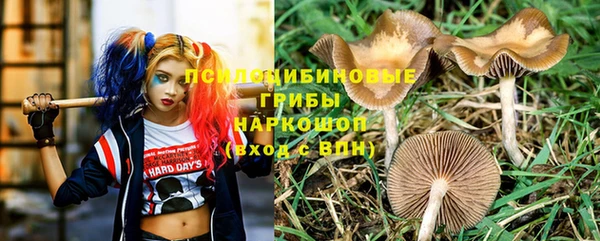МДПВ Балахна