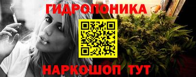 ALPHA PVP Ярославль