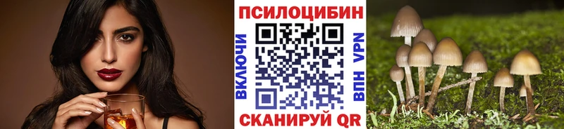 купить наркотики сайты  Новый Уренгой  Галлюциногенные грибы Psilocybe 
