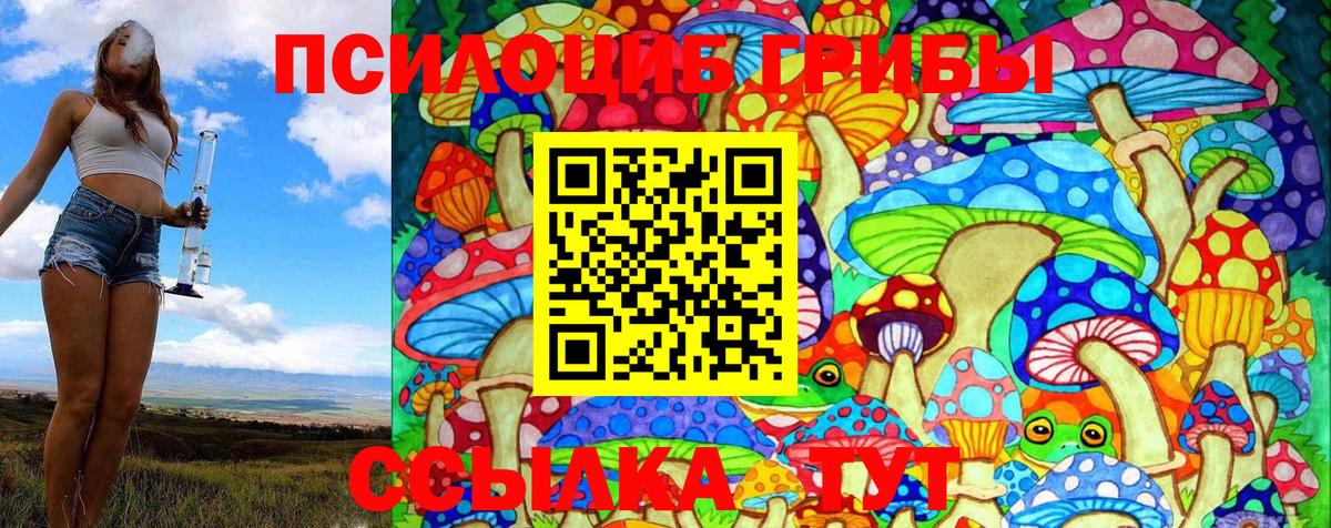 Галлюциногенные грибы GOLDEN TEACHER Новый Уренгой