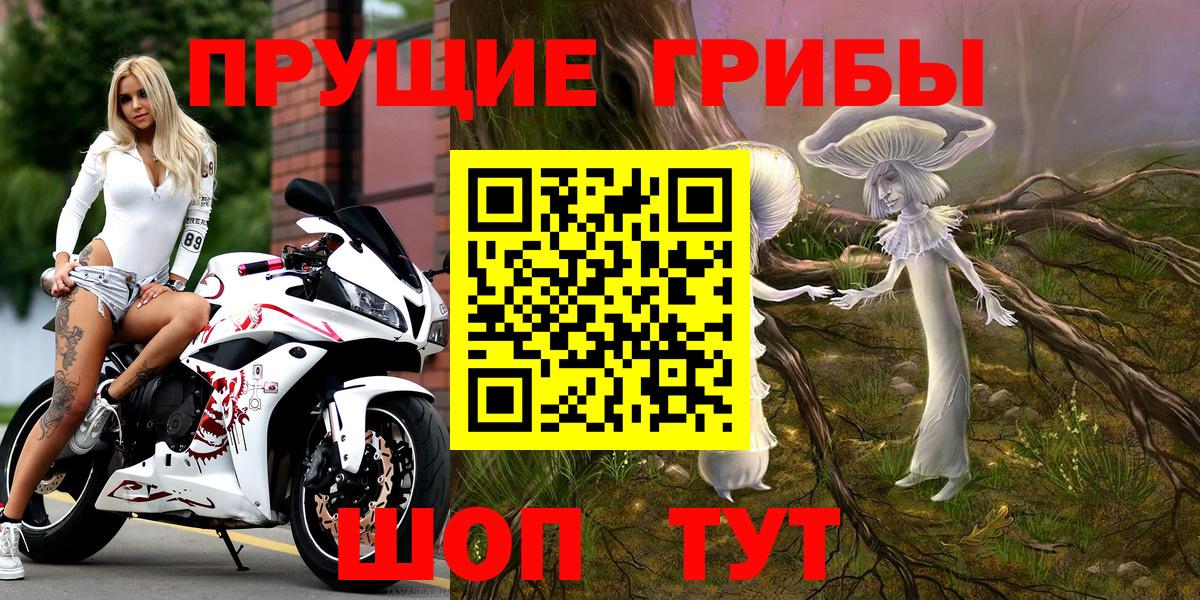 Псилоцибиновые грибы GOLDEN TEACHER  Вход с VPN  Новый Уренгой 